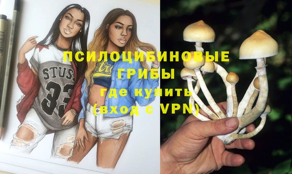 крисы Нея